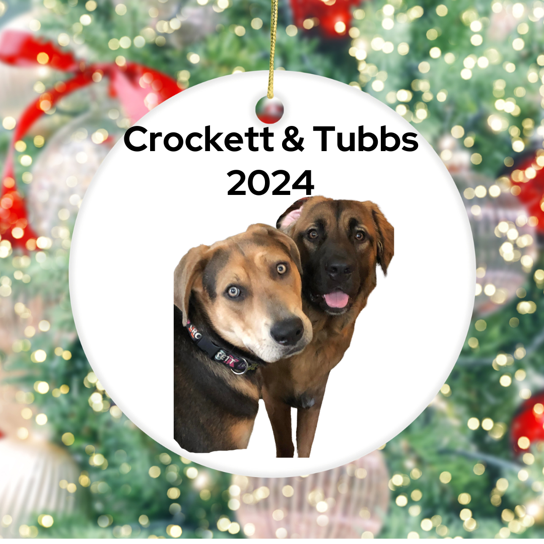 Pet Ornaments